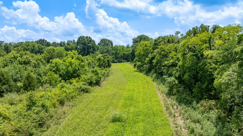 498 Rattlesnake Lodge Road Shelbyville TN 37160
