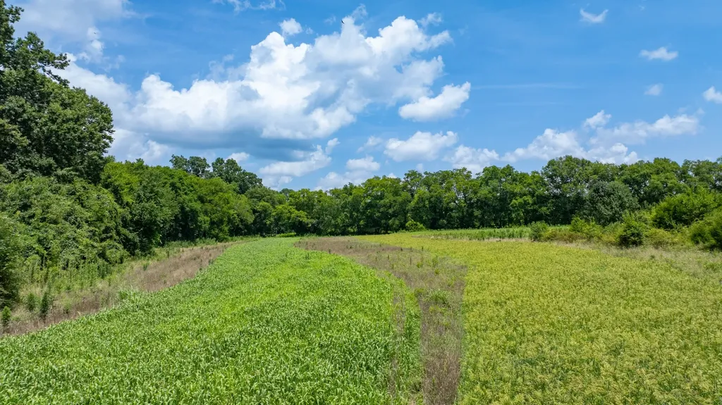 498 Rattlesnake Lodge Road Shelbyville TN 37160