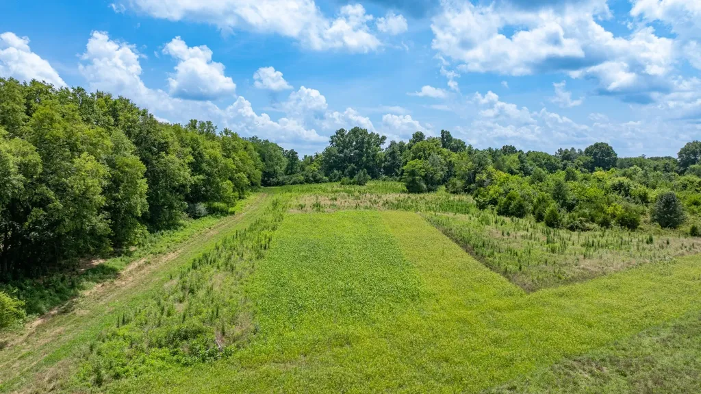 498 Rattlesnake Lodge Road Shelbyville TN 37160