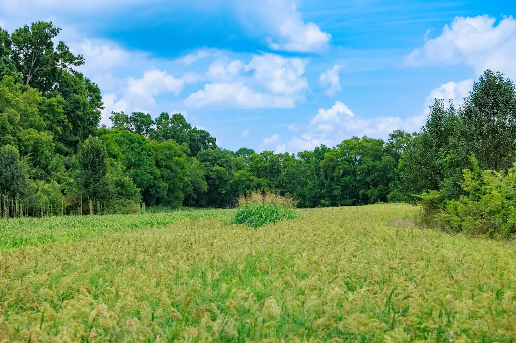 498 Rattlesnake Lodge Road Shelbyville TN 37160