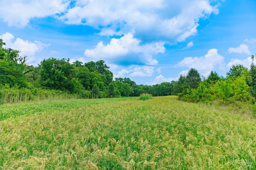 498 Rattlesnake Lodge Road Shelbyville TN 37160