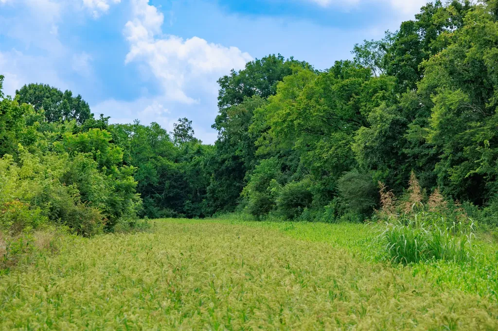 498 Rattlesnake Lodge Road Shelbyville TN 37160