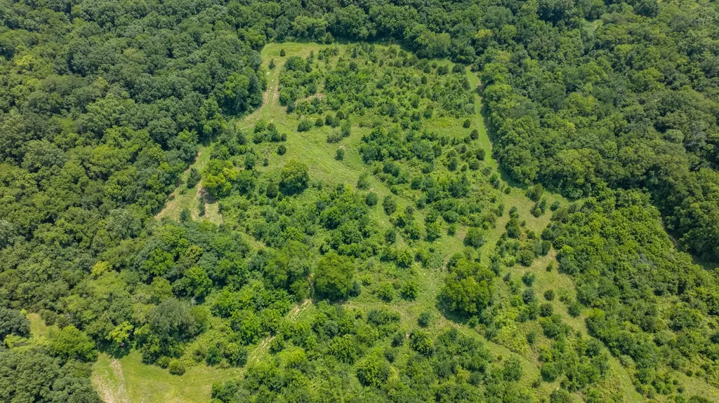 498 Rattlesnake Lodge Road Shelbyville TN 37160
