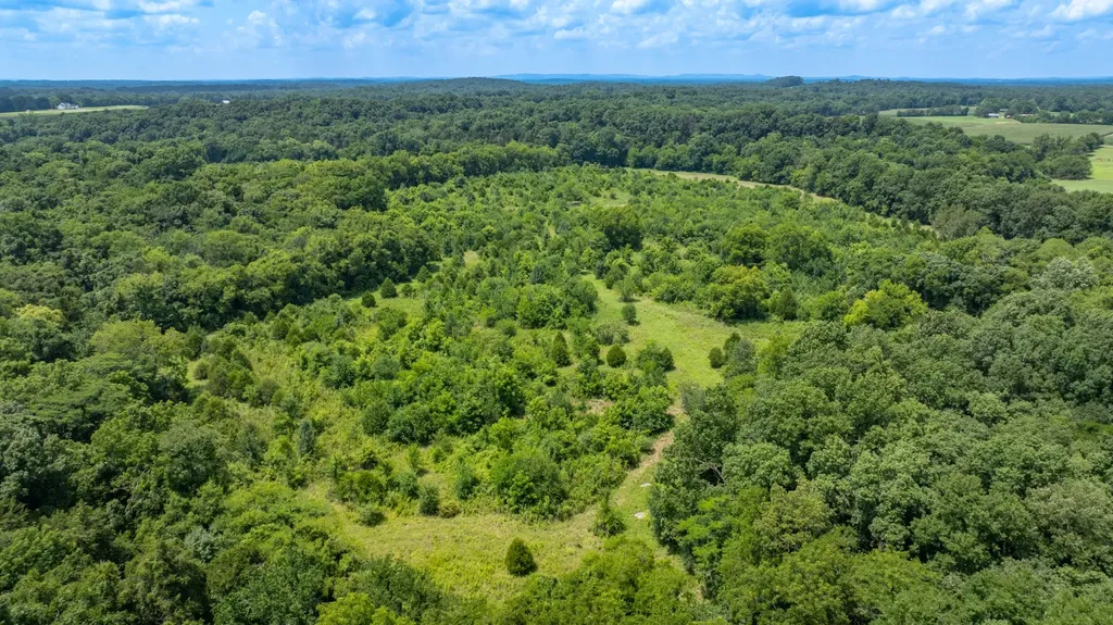 498 Rattlesnake Lodge Road Shelbyville TN 37160