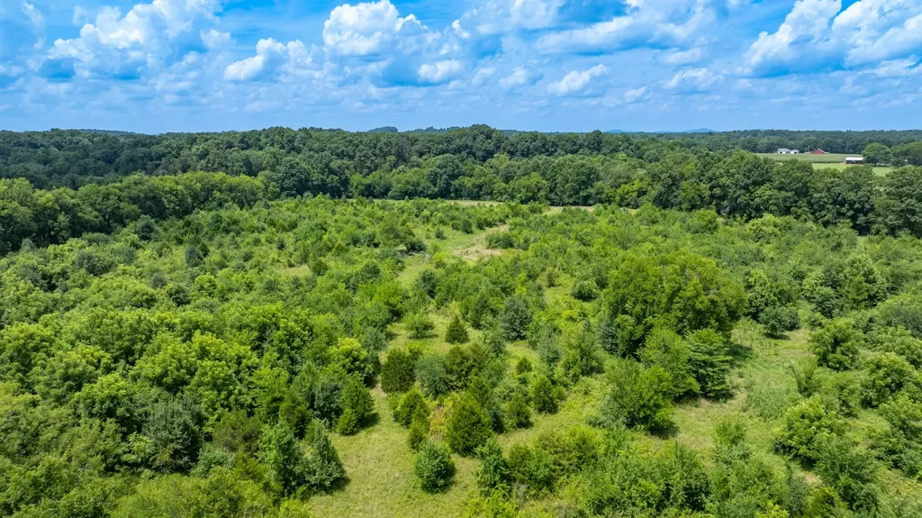 498 Rattlesnake Lodge Road Shelbyville TN 37160
