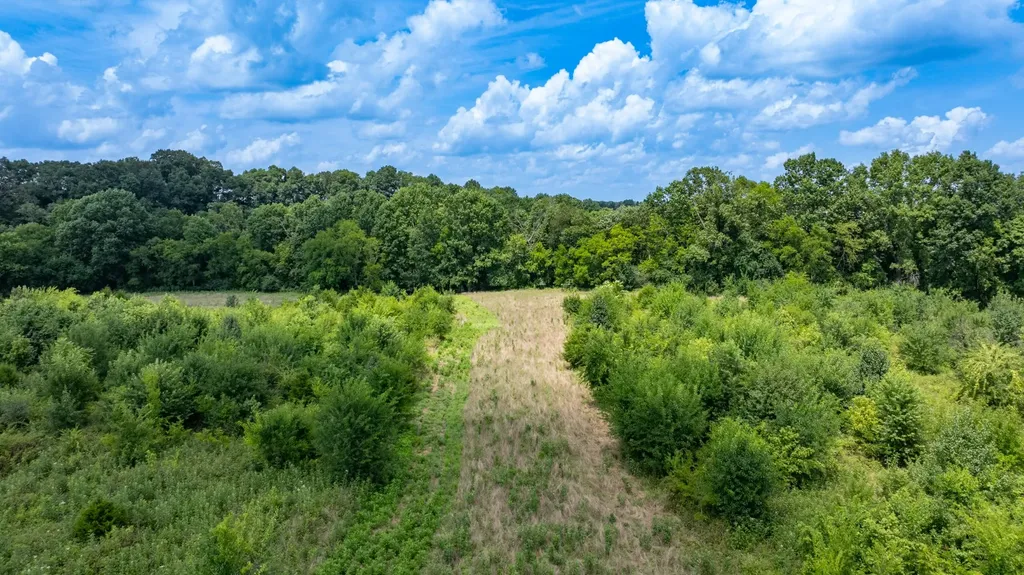 498 Rattlesnake Lodge Road Shelbyville TN 37160