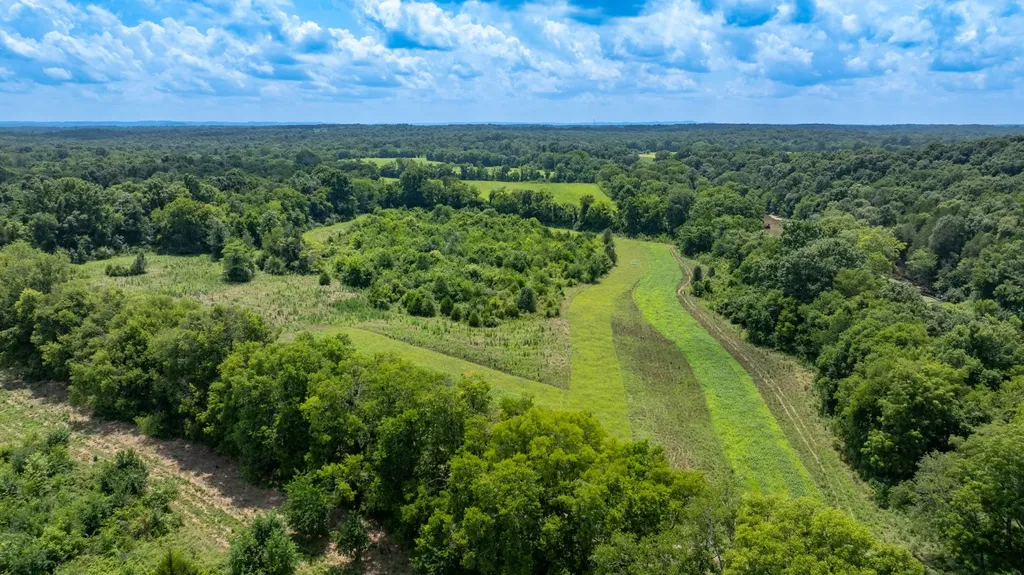 498 Rattlesnake Lodge Road Shelbyville TN 37160