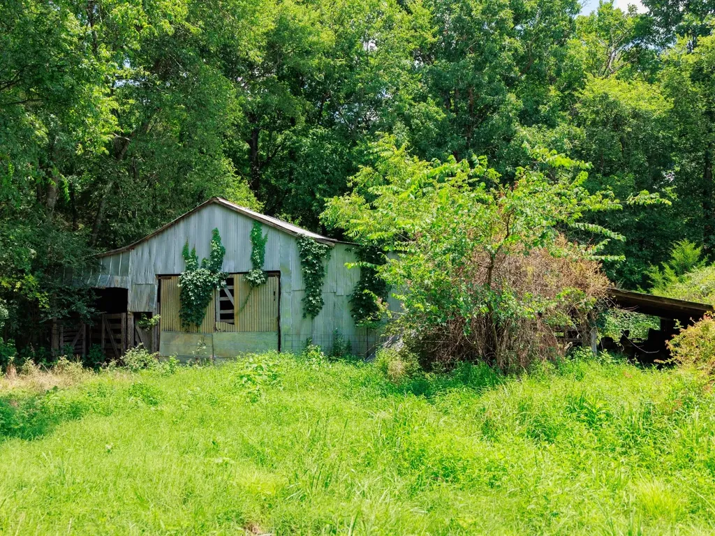 498 Rattlesnake Lodge Road Shelbyville TN 37160