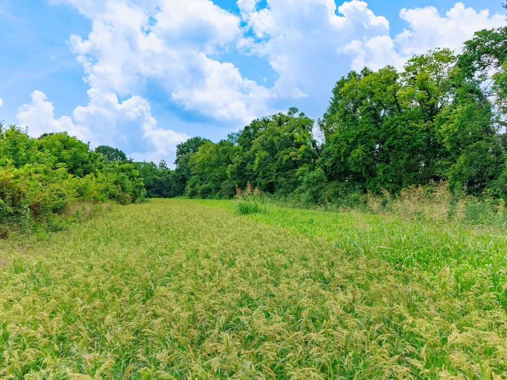498 Rattlesnake Lodge Road Shelbyville TN 37160
