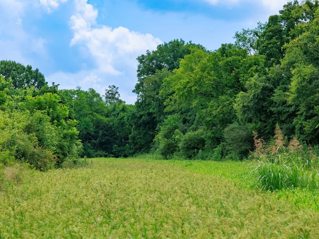 498 Rattlesnake Lodge Road Shelbyville TN 37160