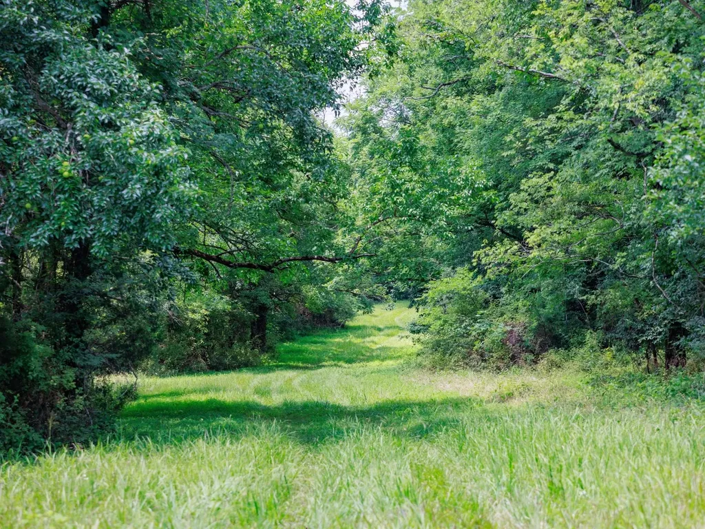 498 Rattlesnake Lodge Road Shelbyville TN 37160