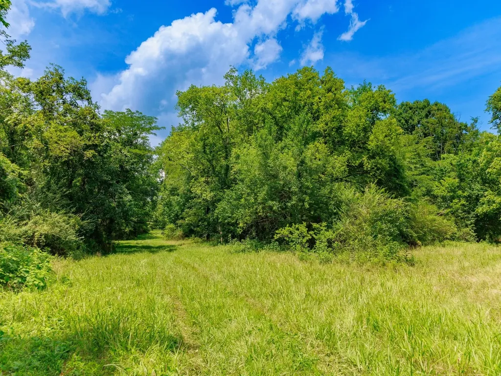 498 Rattlesnake Lodge Road Shelbyville TN 37160
