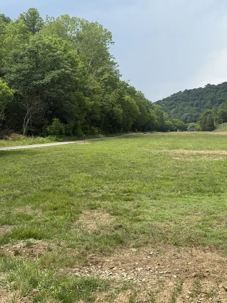 0 Hurricane Branch Lane Gainesboro TN 38562