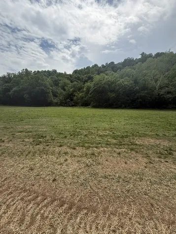 0 Hurricane Branch Lane Gainesboro TN 38562