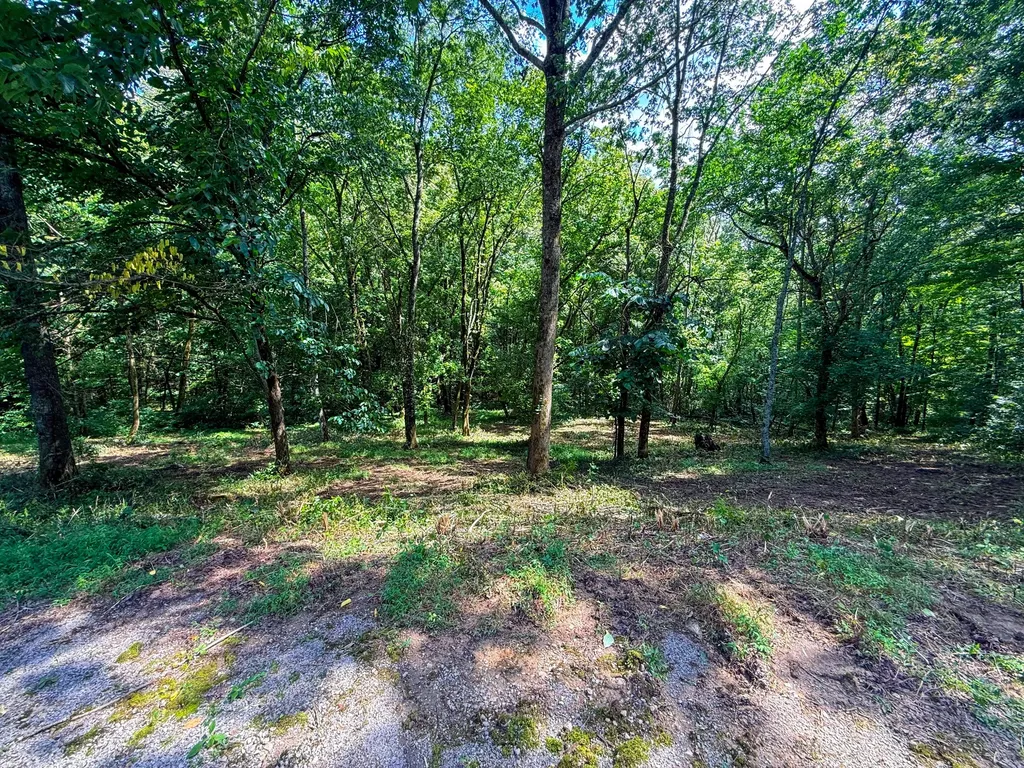0 Savannah Drive Smithville TN 37166