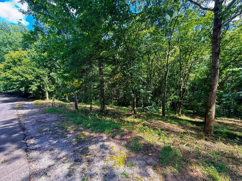 0 Savannah Drive Smithville TN 37166