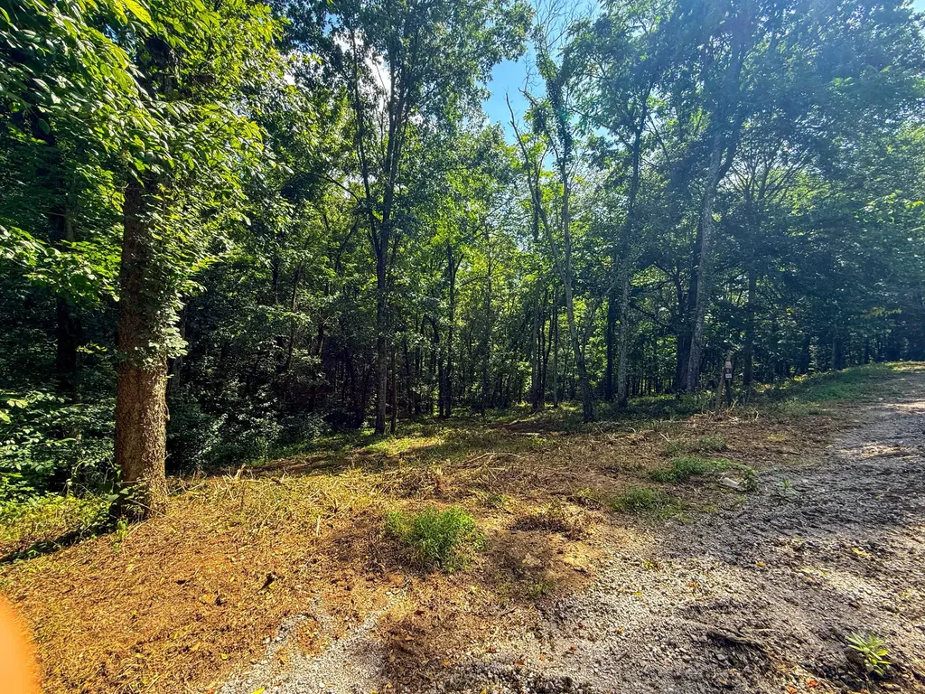 0 Savannah Drive Smithville TN 37166