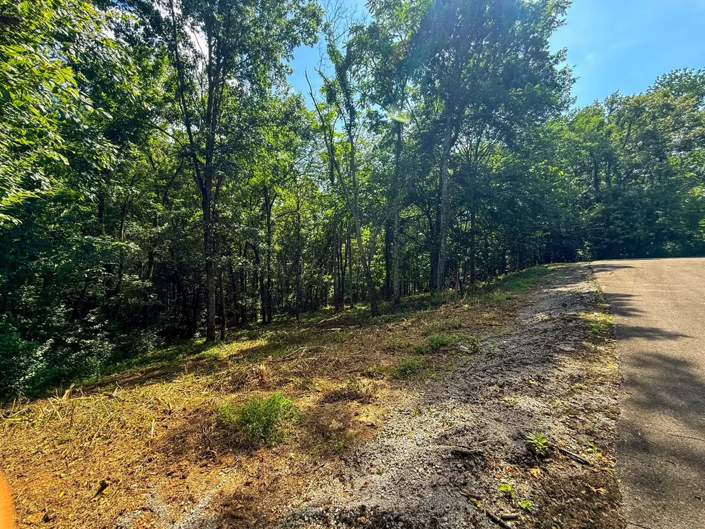 0 Savannah Drive Smithville TN 37166