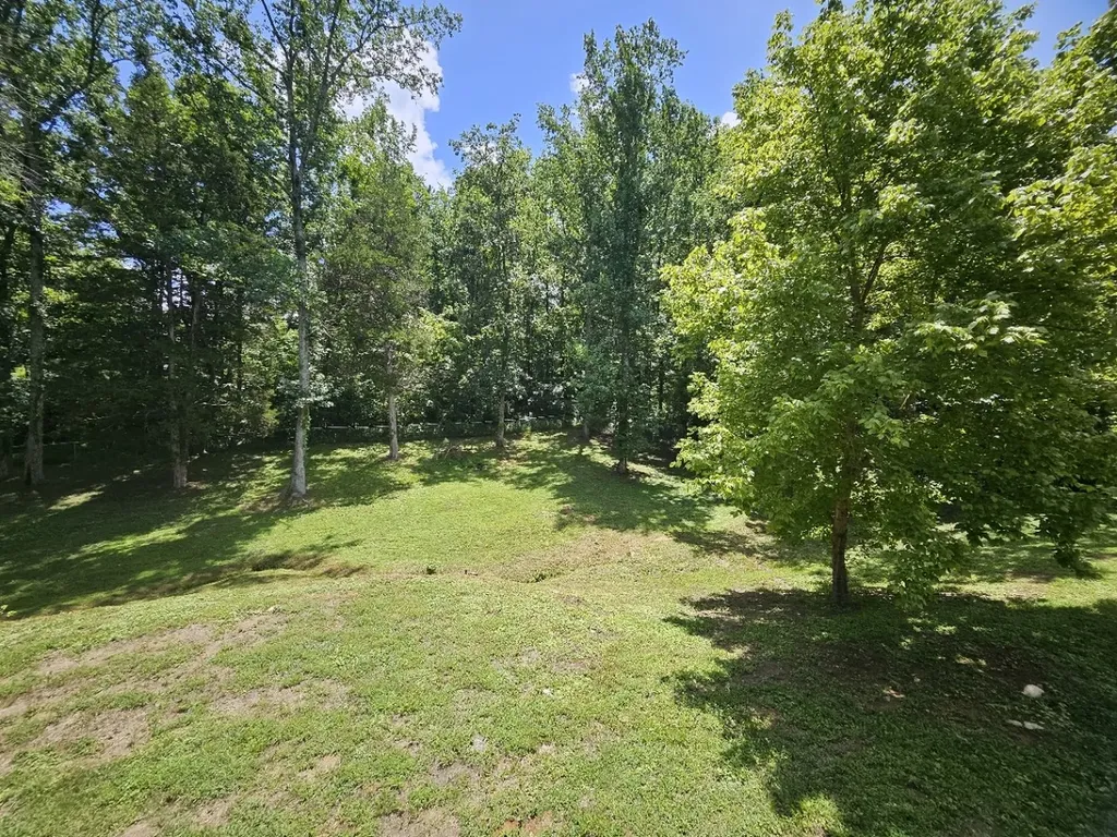115 Pascal Drive Mount Juliet TN 37122