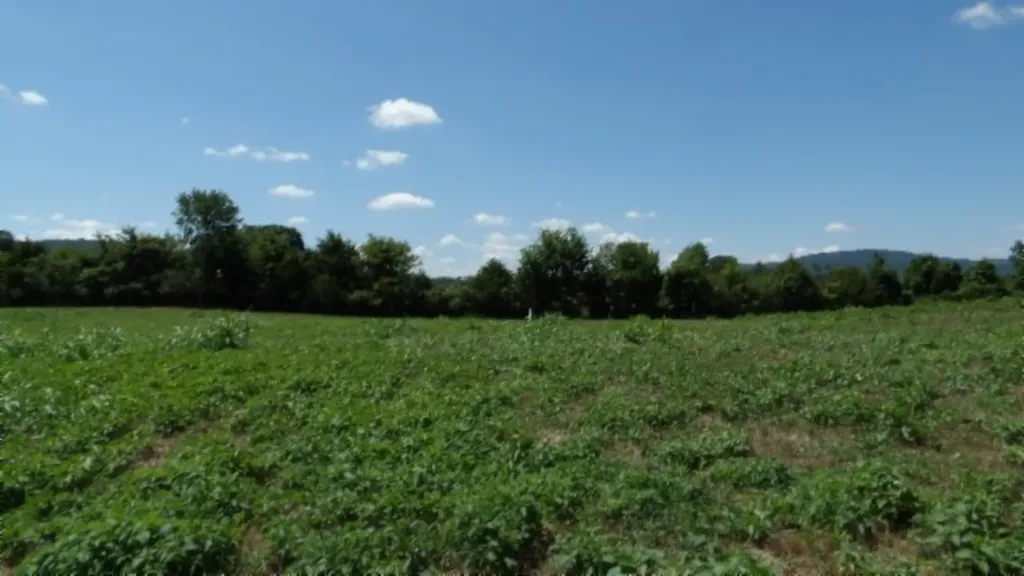 0 Ranchside Court Rock Island TN 38581