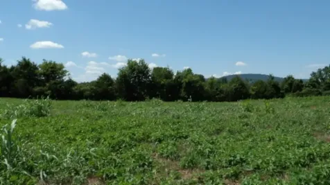 0 Ranchside Court Rock Island TN 38581