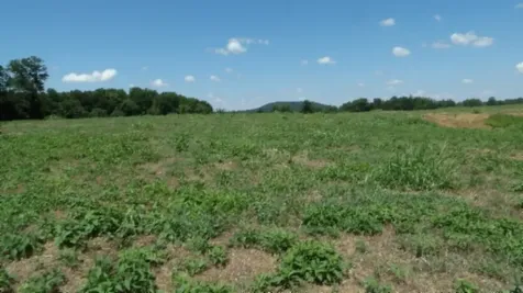 0 Ranchside Court Rock Island TN 38581