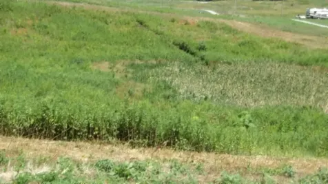 0 Ranchside Court Rock Island TN 38581
