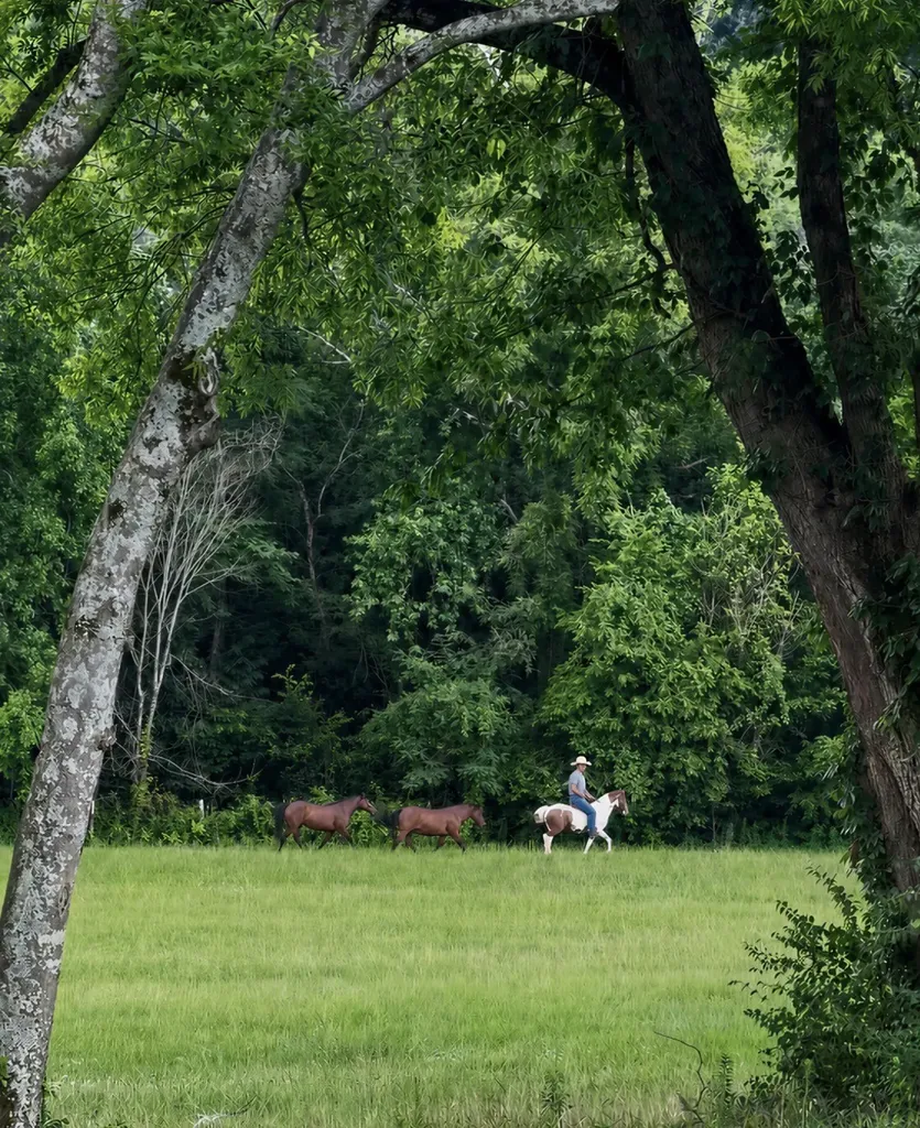 0 Nolensville Road Arrington TN 37014