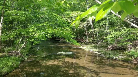 7454 Sugar Camp Hollow Road Fairview TN 37062
