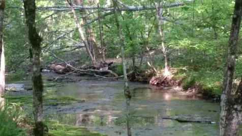 7454 Sugar Camp Hollow Road Fairview TN 37062