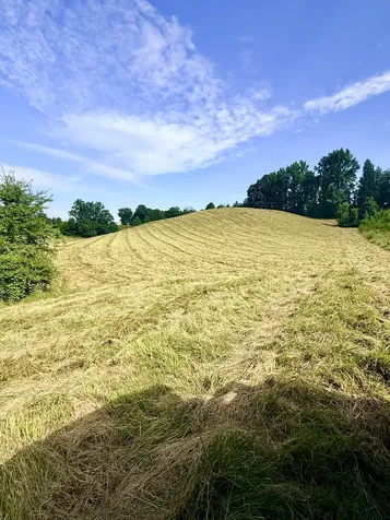 0 Allen Bend Road Smithville TN 37166