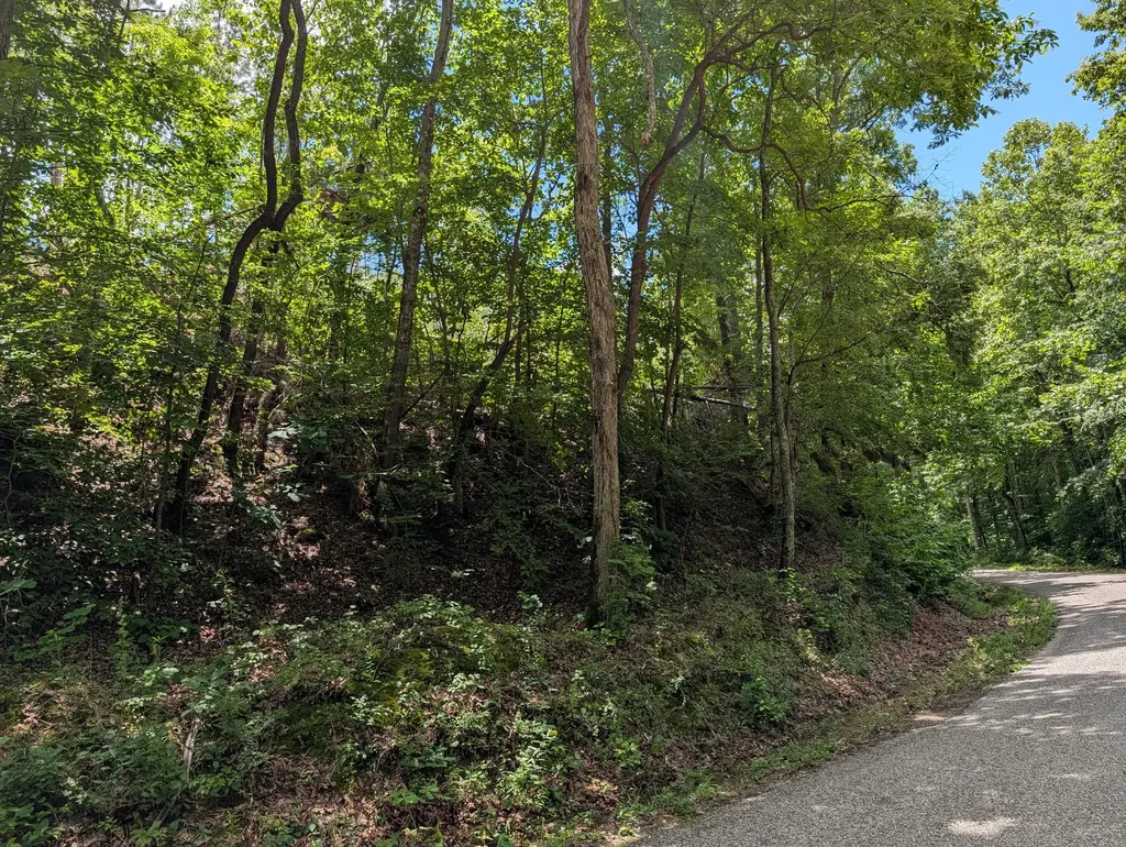 0 Old Penny Road Linden TN 37096