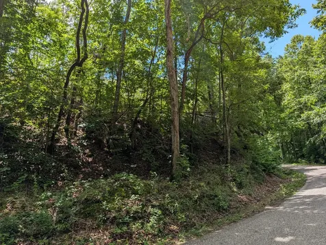 0 Old Penny Road Linden TN 37096
