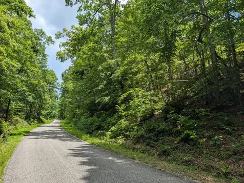 0 Old Penny Road Linden TN 37096