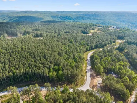 1109 Birds Eye Way Guild TN 37340