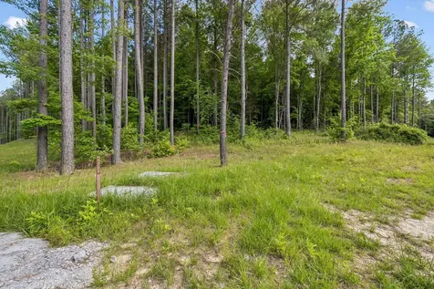 1109 Birds Eye Way Guild TN 37340