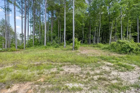 1109 Birds Eye Way Guild TN 37340