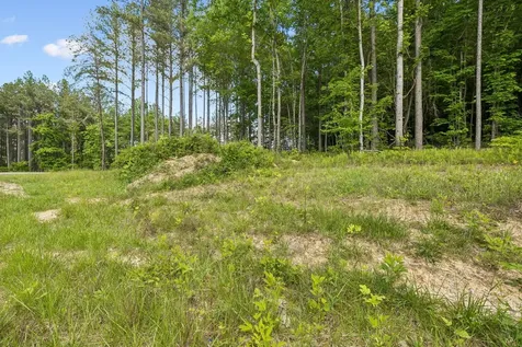 1109 Birds Eye Way Guild TN 37340