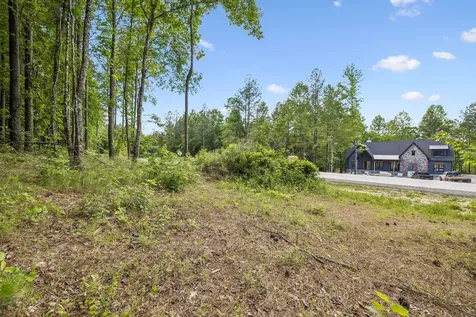 1109 Birds Eye Way Guild TN 37340