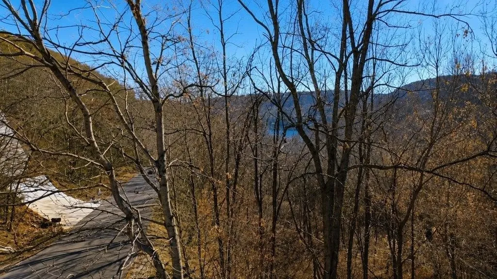 0 Blackberry Ridge Way Smithville TN 37166