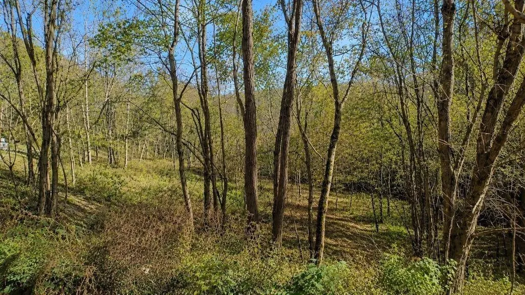 0 Blackberry Ridge Way Smithville TN 37166