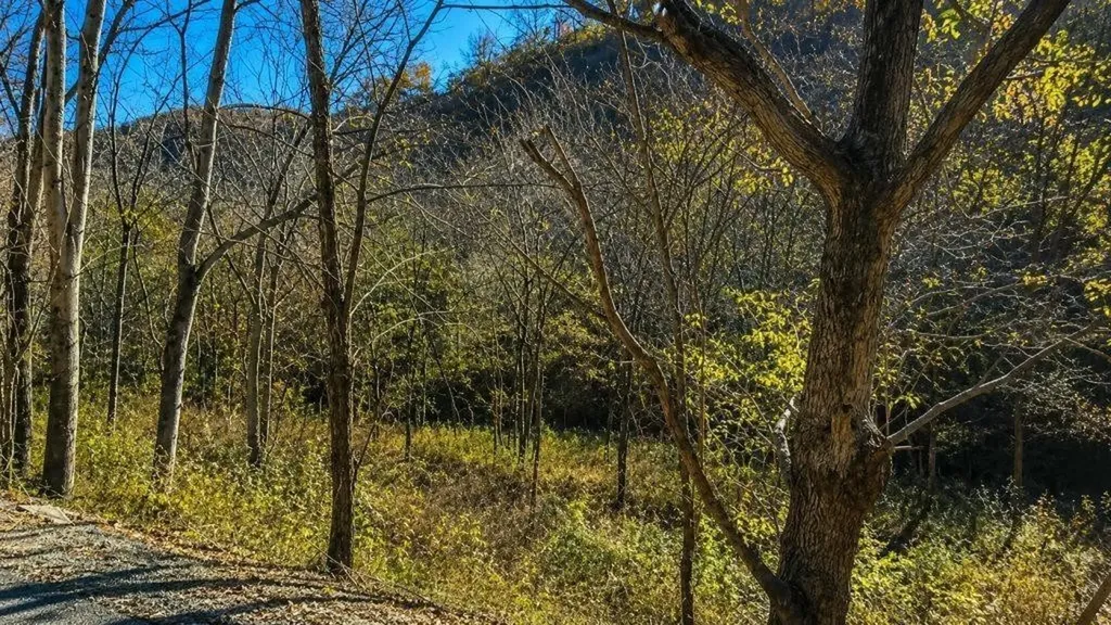 0 Blackberry Ridge Way Smithville TN 37166
