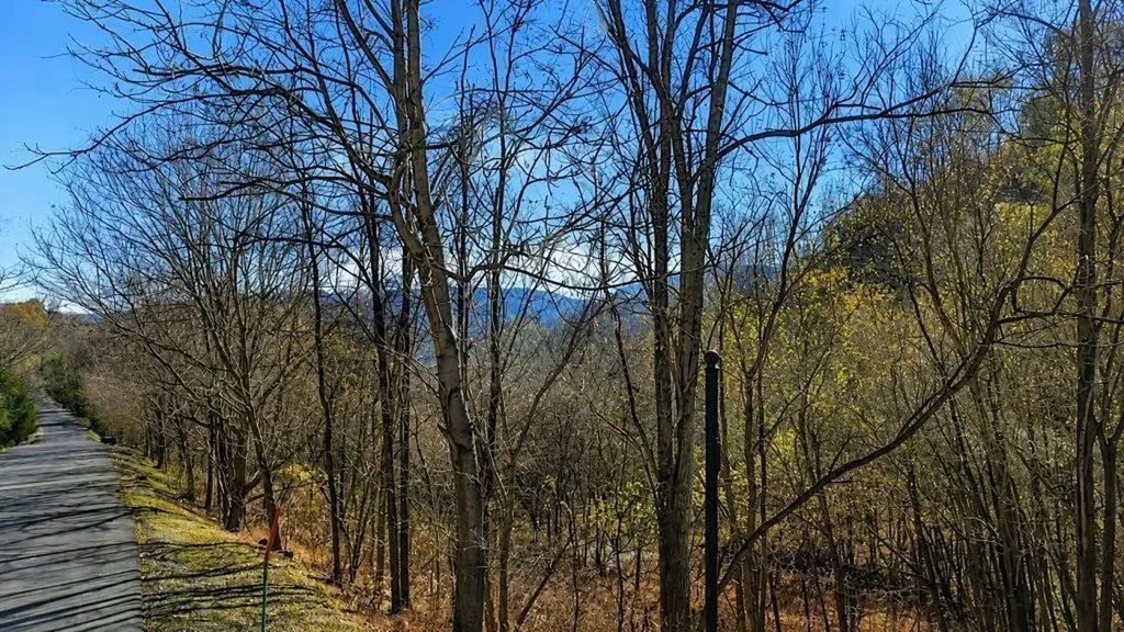 0 Blackberry Ridge Way Smithville TN 37166