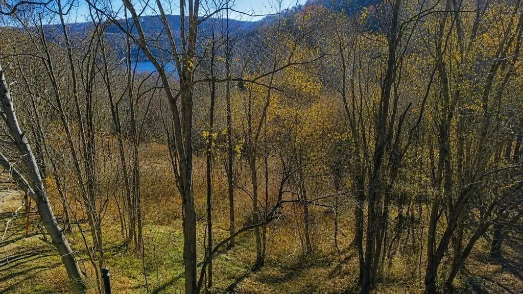 0 Blackberry Ridge Way Smithville TN 37166