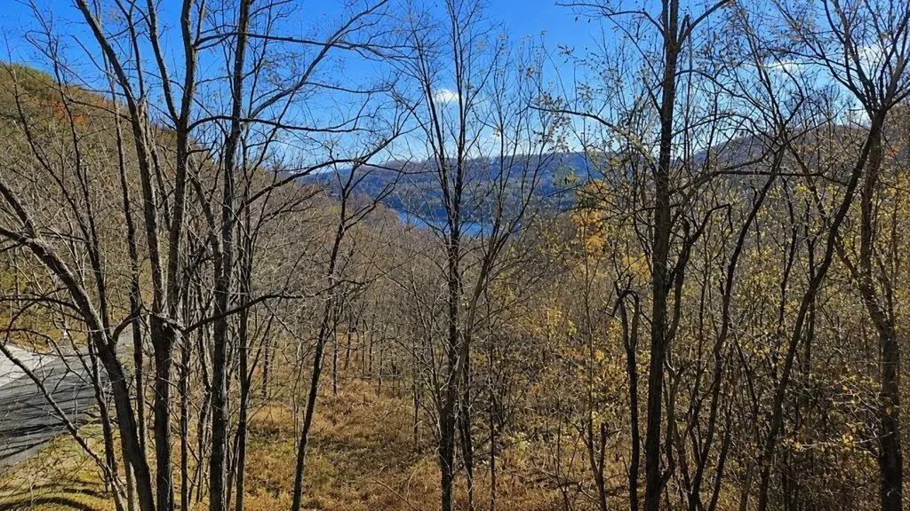 0 Blackberry Ridge Way Smithville TN 37166