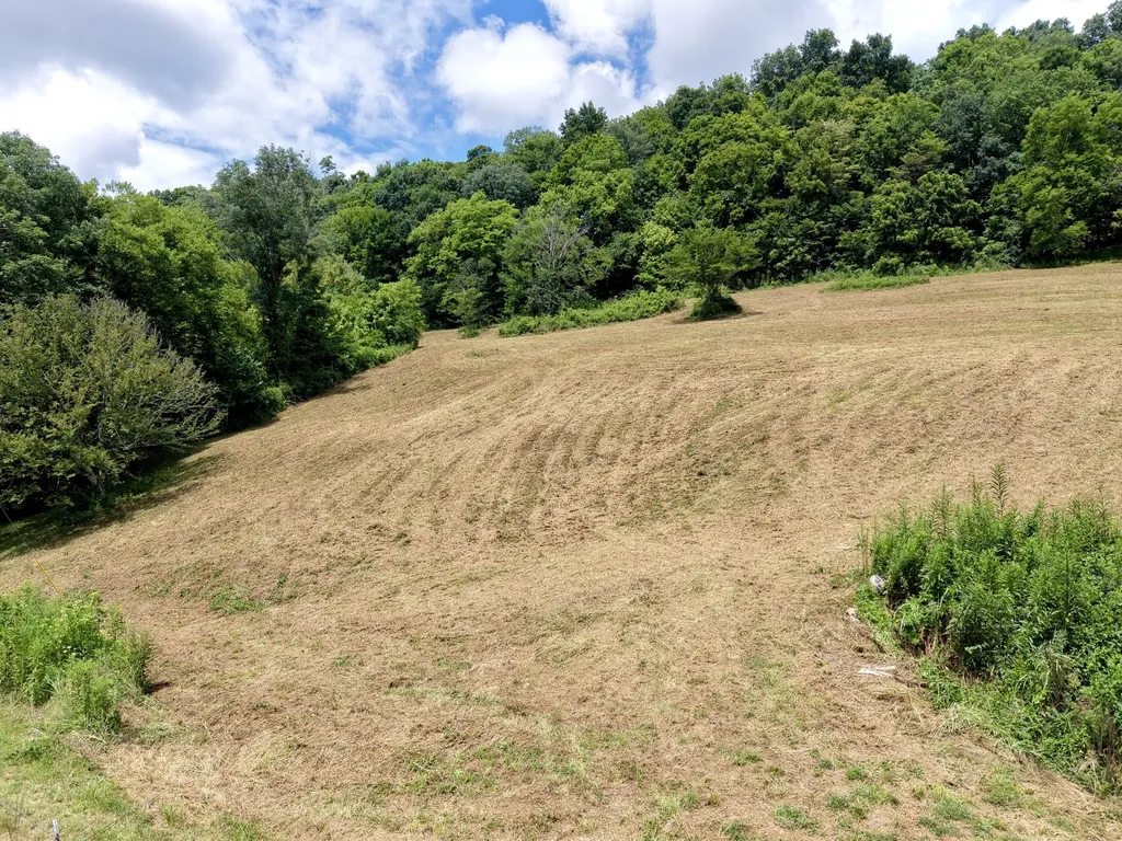 490 Ford Hollow Road Hartsville TN 37074