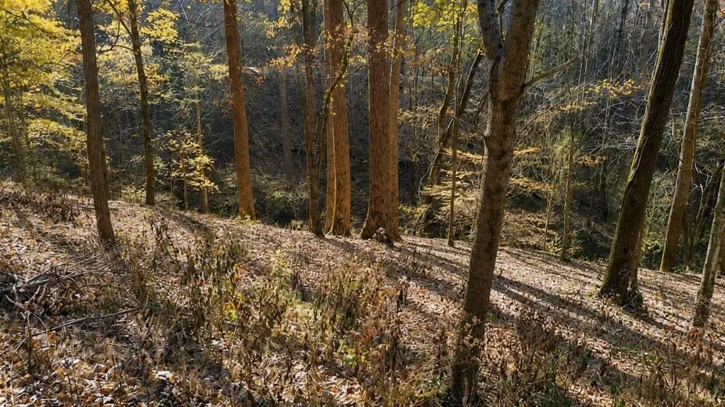 0 Lake View Drive Smithville TN 37166