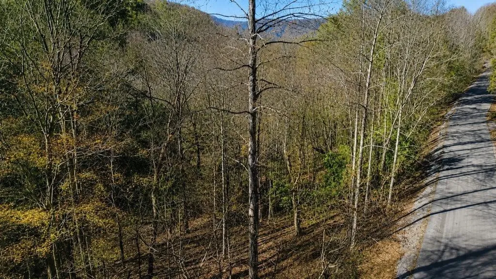 0 Lake View Drive Smithville TN 37166