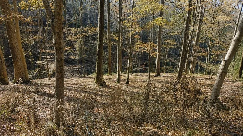 0 Lake View Drive Smithville TN 37166