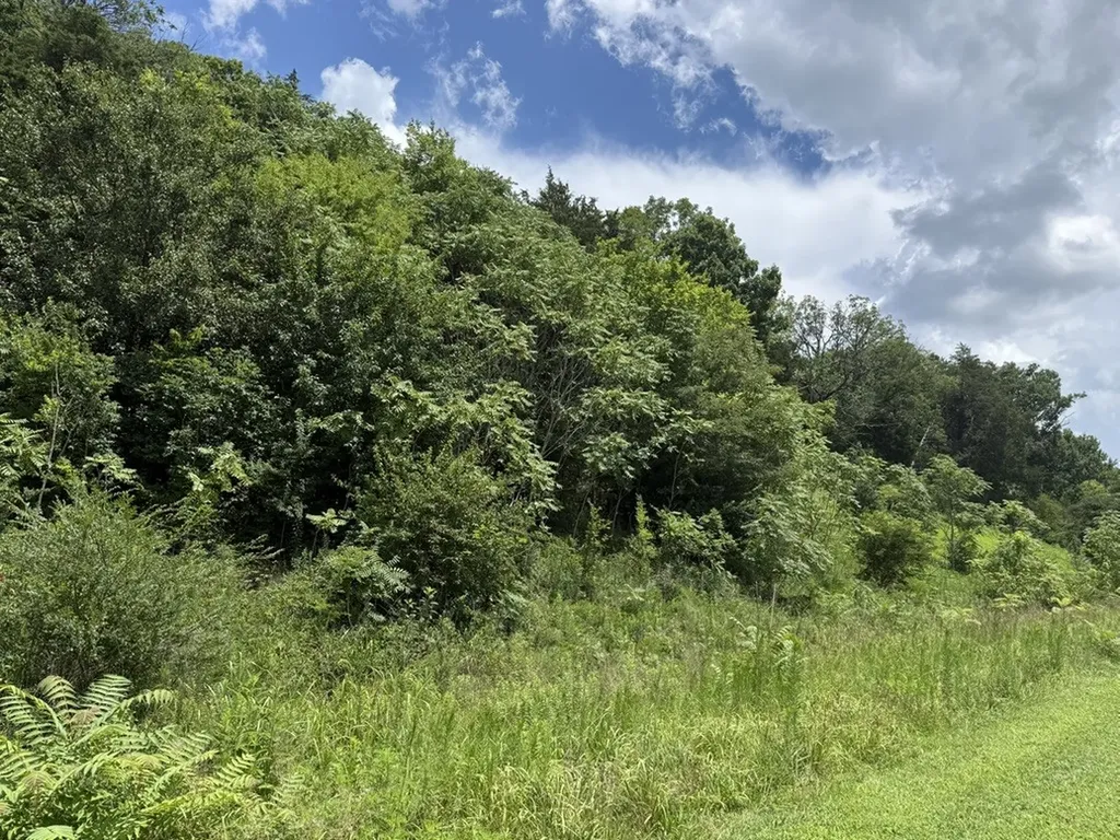 0 Liberty Pike Franklin TN 37067